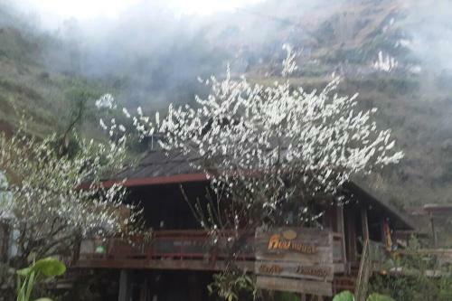 Fieu House