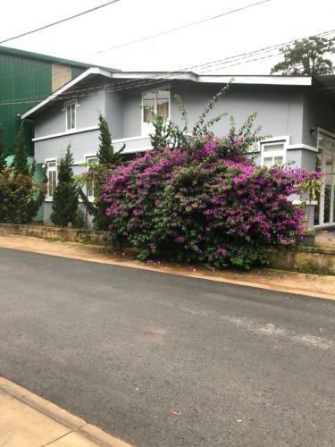 Hostal B?p's House ?� L?t