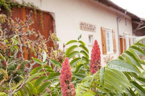 G�te de L'etrier 3 * : Le Calme � La Campagne !