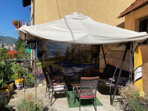 Comfy Apartment With A Yard