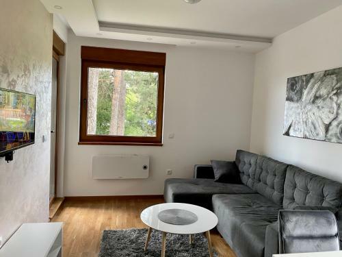Apartman Zlatibor