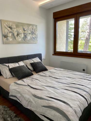 Apartman Zlatibor