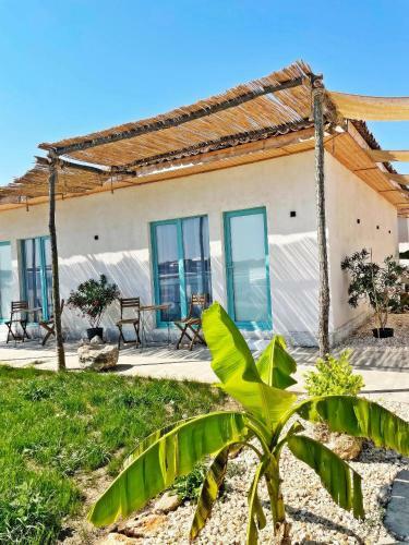 Hostal Mediterana Bungalows