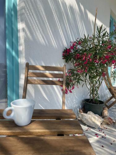 Hostal Mediterana Bungalows