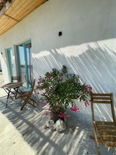 Hostal Mediterana Bungalows