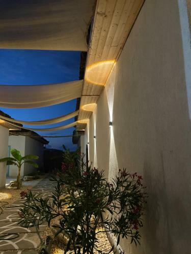 Hostal Mediterana Bungalows