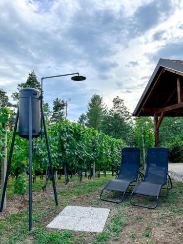 Holiday House Tomajna