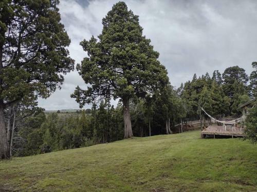 Casa De Campo En Trevelin Con Tina De Madera