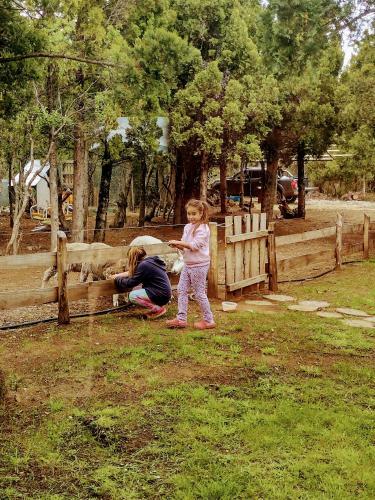 Casa De Campo En Trevelin Con Tina De Madera