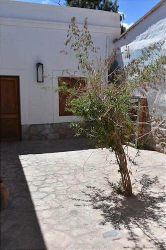 Bed & Breakfast Casa Atelier
