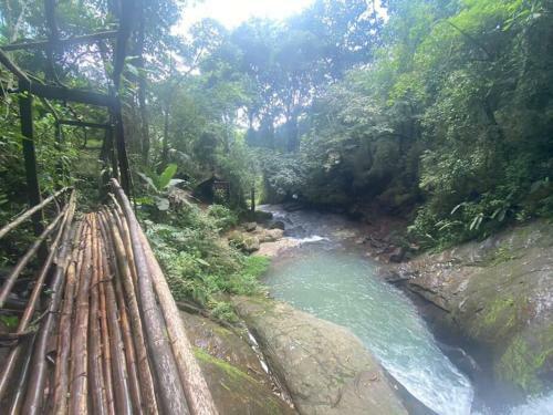 Cabin Tabu Waterfalls