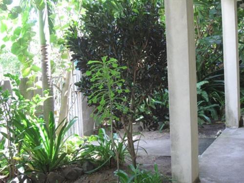 Hostal Culture House