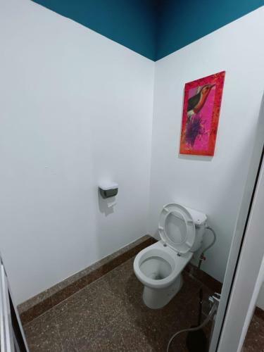 Hostal Summer Spring