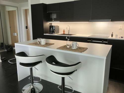 Modern Downtown Apartment