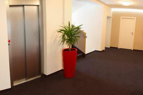 Hotel Vila Viola