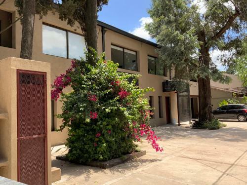 Casa De Lola