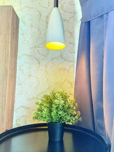 Apartamento C2210 Almas Suites Studio 100mbps Netflix By Stay