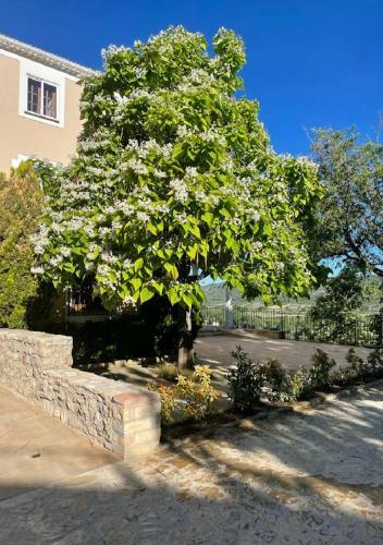 Hotel Los Tilos