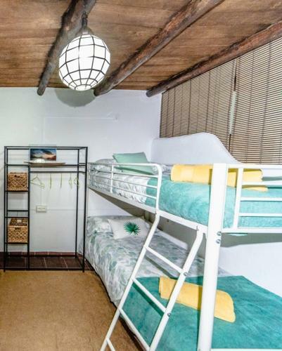 Apartamento La Casita Del �rbol Blanco