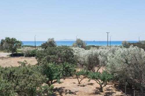 Villa 8bd Beach House With Outdoor Jacuzzi By The Olon