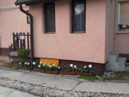 Hostal Malomtavi Vend�gh�z Tapolca