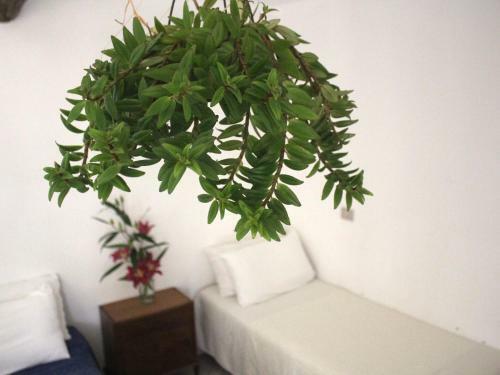 Rustic Bungalow In Isola Di Capo Rizzuto With Garden