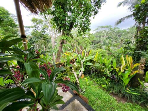 Bb House Ubud