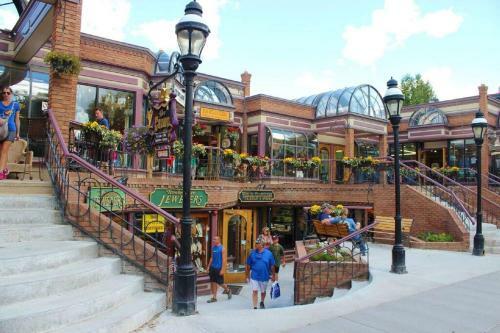 Apartamento Park Meadows Lodge Unit 3a