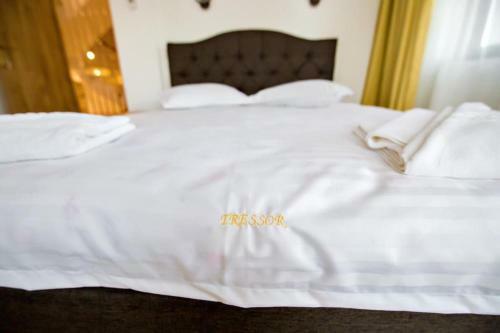 Hostal Pensiunea Tressor