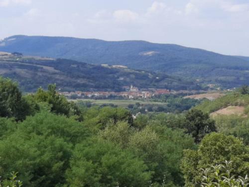 Cabana Belvedere