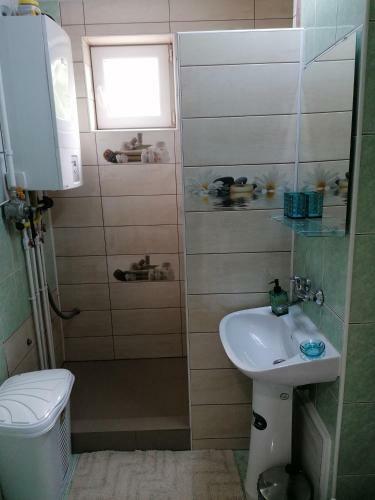 Apartamento Garsoniera Cu 1 Dormitor , Maxim 3 Persoane