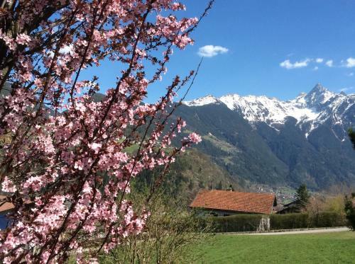 Apartamento Komfortable Ferienwohnung Mit Herrlicher Aussicht