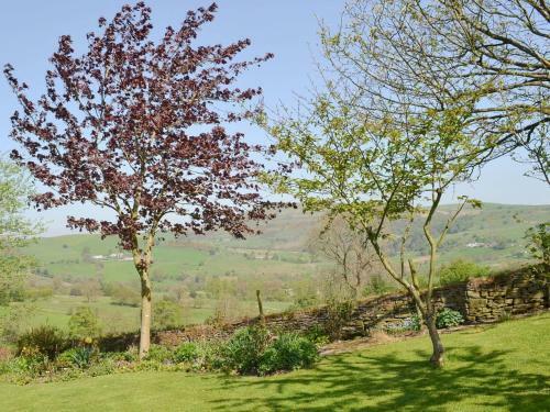 Townfield Farm