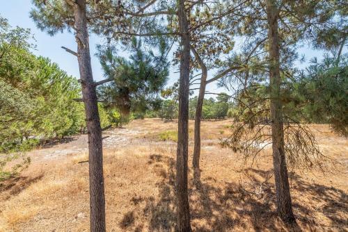 Apartamento Guestready - Palmela Village Apts