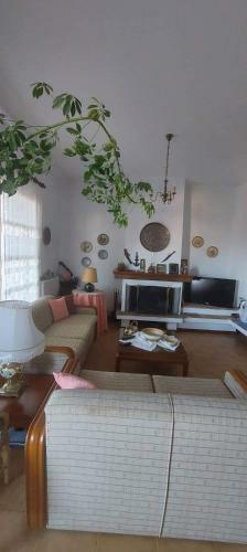 Villa Traditional House
