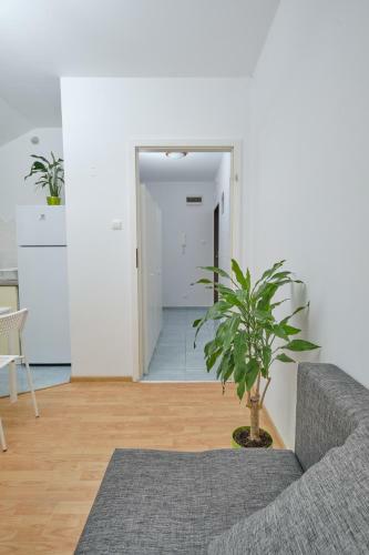 Apartament S?oneczny 7