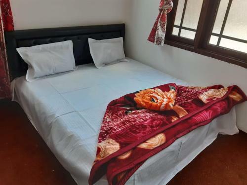 Hostal Aisha Guest House
