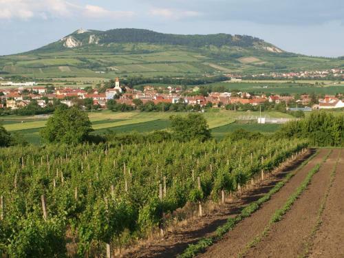 Hostal Penzion Kratochv�l