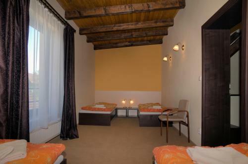 Hostal Penzion U Hrab?nky