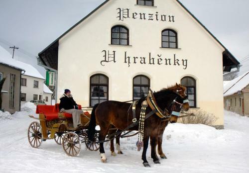 Hostal Penzion U Hrab?nky