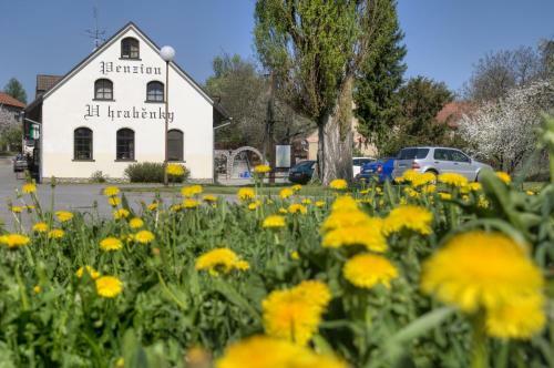 Hostal Penzion U Hrab?nky