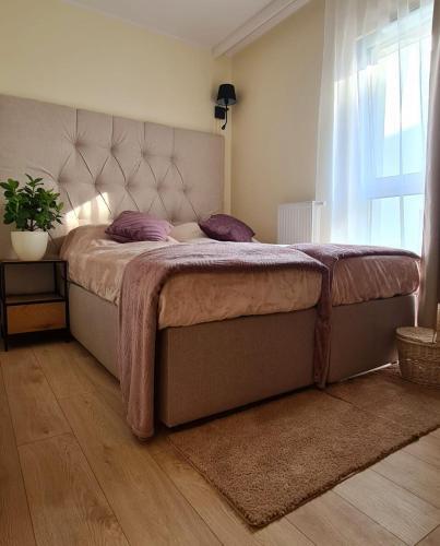 Malta Premium Apartment