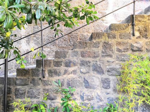 Apartamento Cozy Corner In Ischia City Center