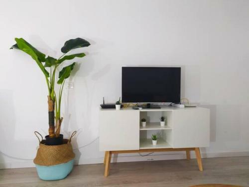 Apartamento Las Canteras Beach Studio