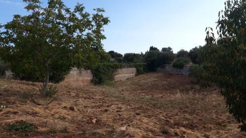 Apartamento Casetta In Campagna Da Zia Tonia