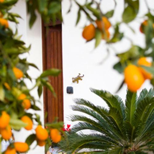 I Gechi Di Mari B&B