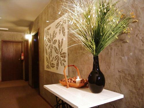 Hotel Graffit