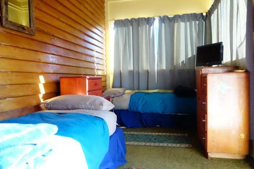 Albergue Big Tree Lodge Methven