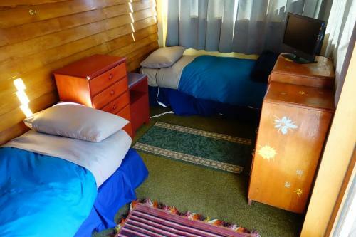 Albergue Big Tree Lodge Methven