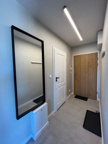 Halo Apartments